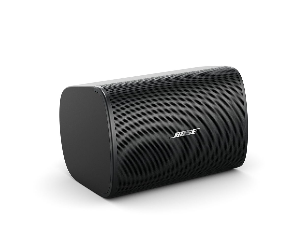 Bose DesignMax DM5SE